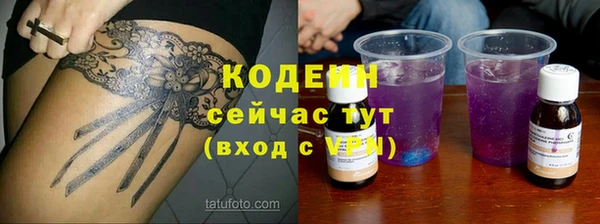 индика Михайлов