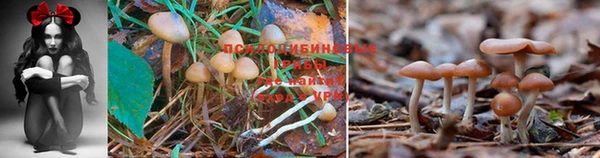 таблы Михайловка