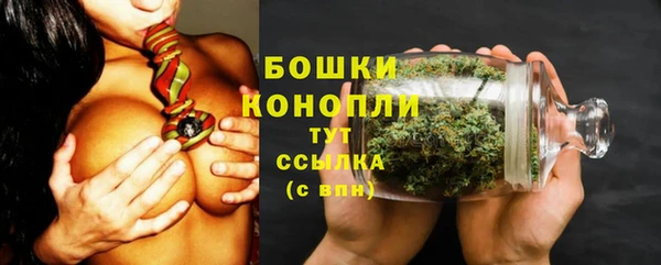 сатива Абдулино