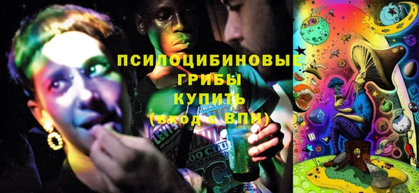 ешки Абинск