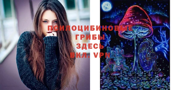 spice Михайловск