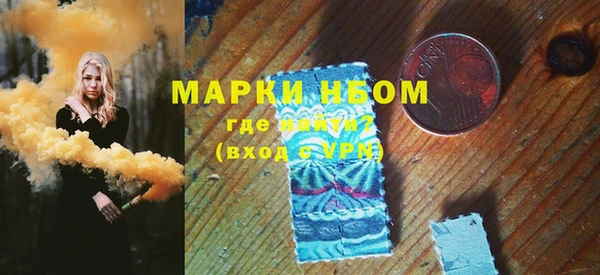 индика Михайлов