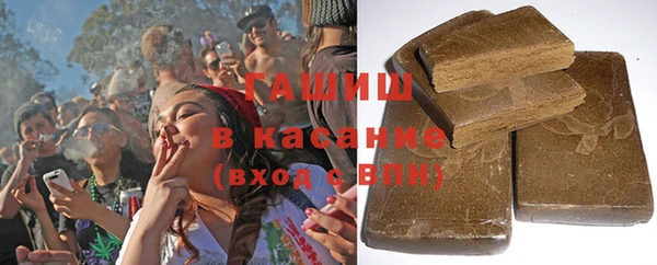 индика Михайлов
