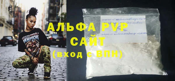индика Михайлов